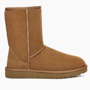 Classic Short Beige Uggs